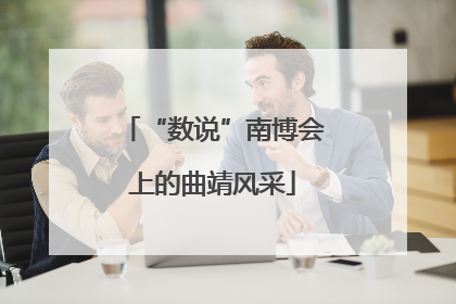 “数说”南博会上的曲靖风采